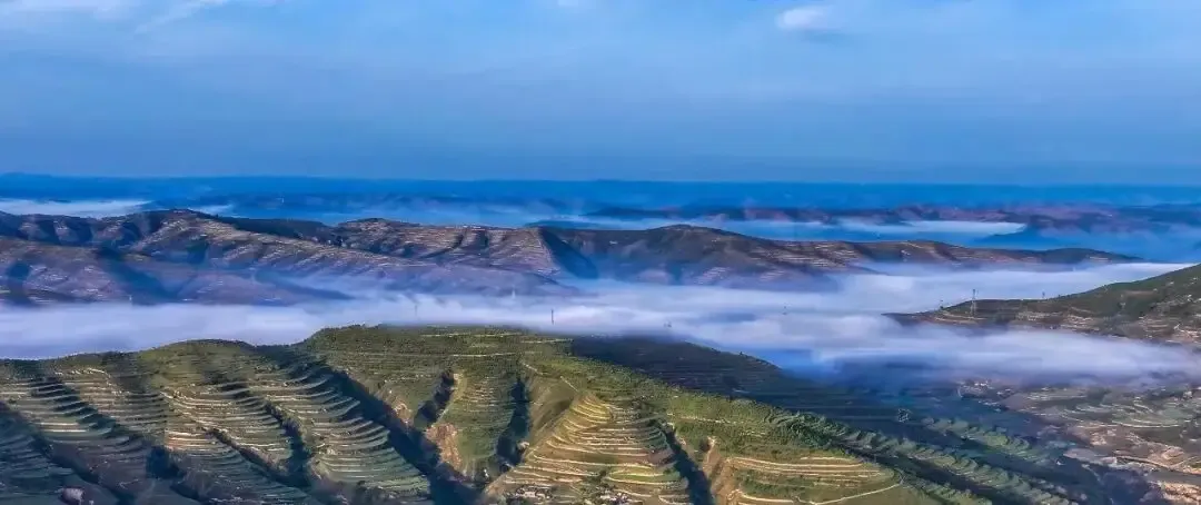 212148kviijnh9aehehijx.webp