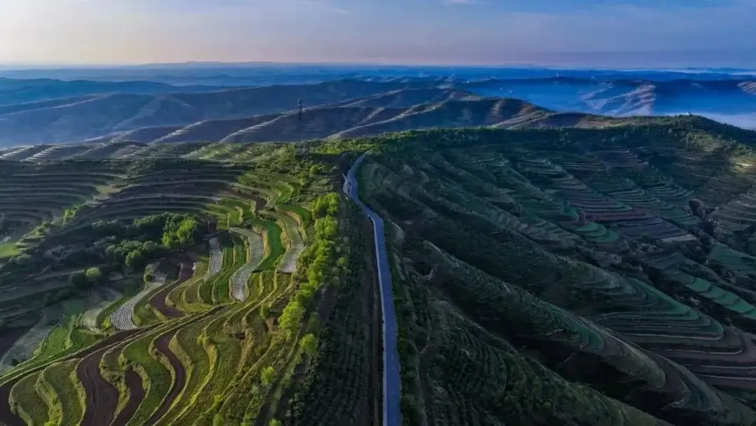 212149gxt99ux1xxuaqpz0.webp