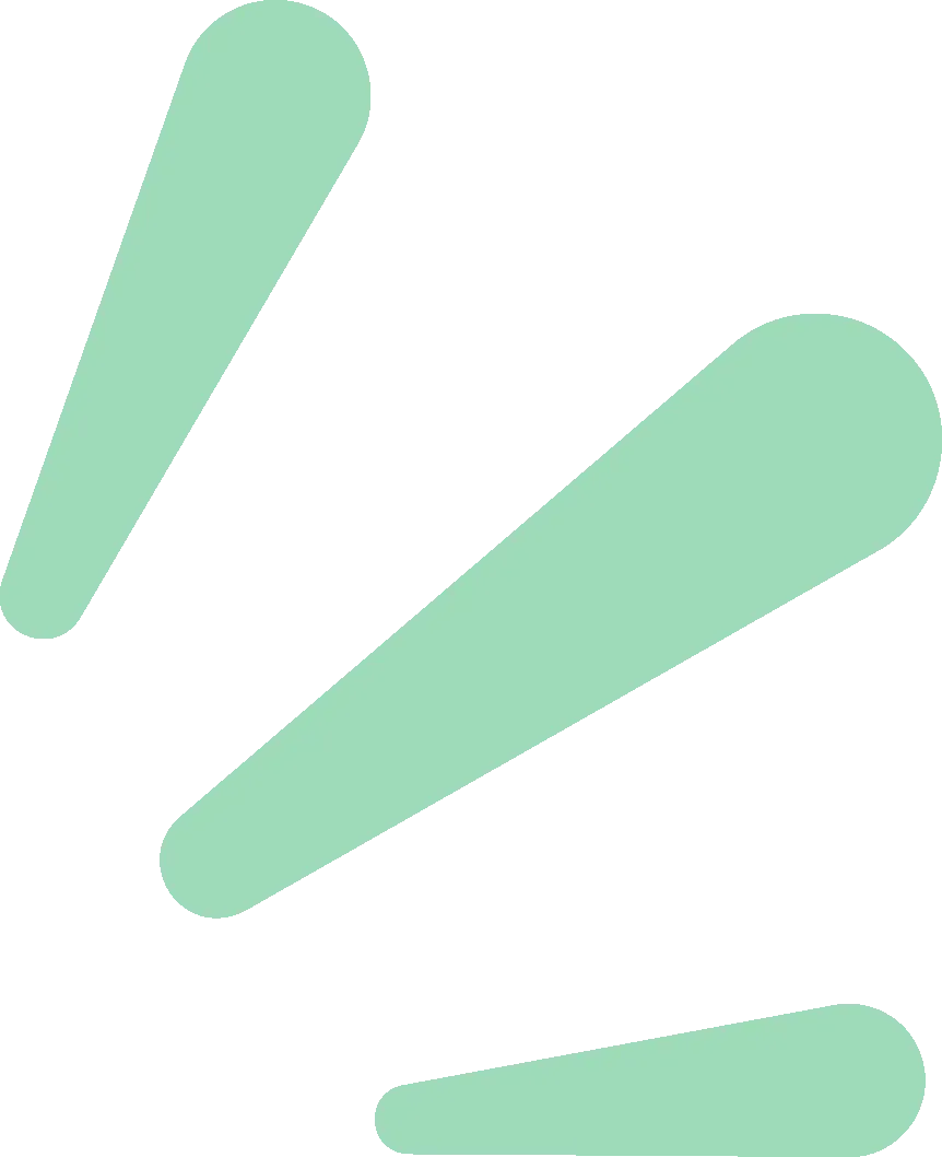 010103nct9qjjoyikqo91t.webp