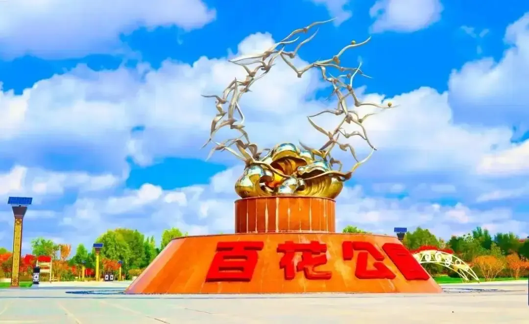 203410cnr08q2nhz5v8spf.webp