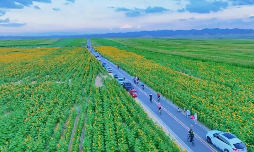 210004sf3t7435itfi3wzn.webp