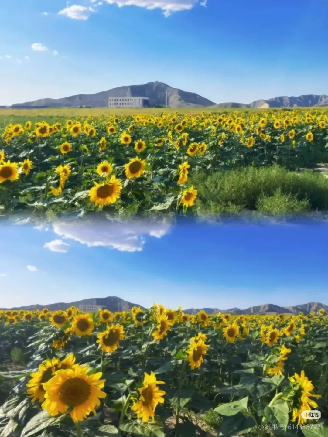 151713vt221ehtkh1d2kkz.webp
